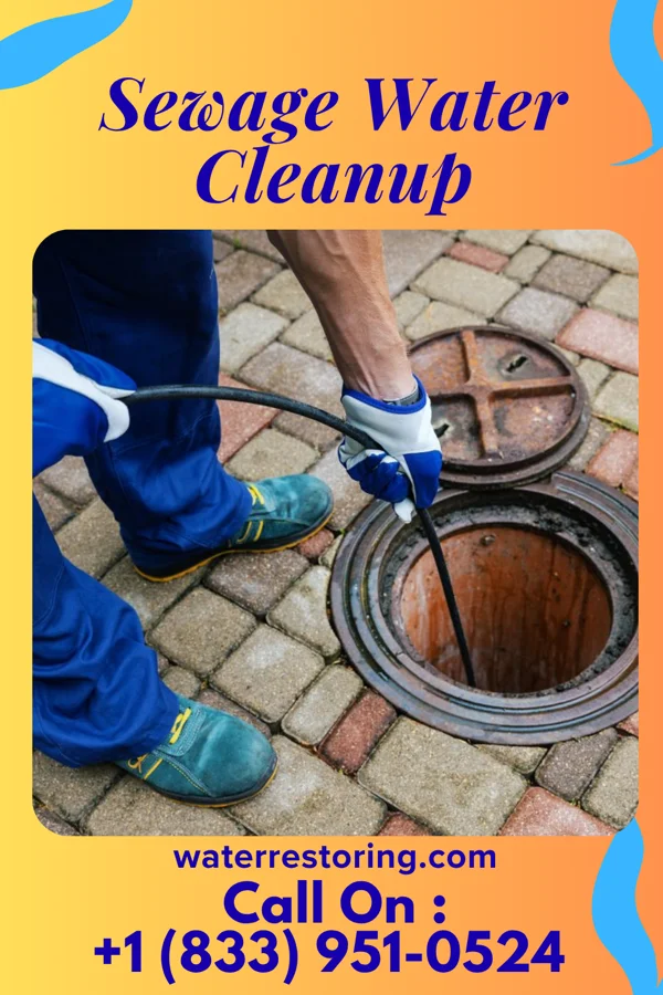 Sewage Water Cleanup in El Camino Angosto, TX